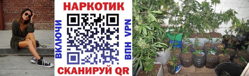 Купить наркоту Курган Каннабис  СОЛЬ  ГАШ 