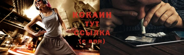 спайс Дмитриев