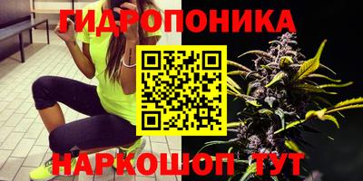 прущая мука Моздок