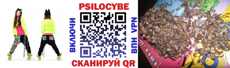 где можно купить   Курган  Псилоцибиновые грибы GOLDEN TEACHER 