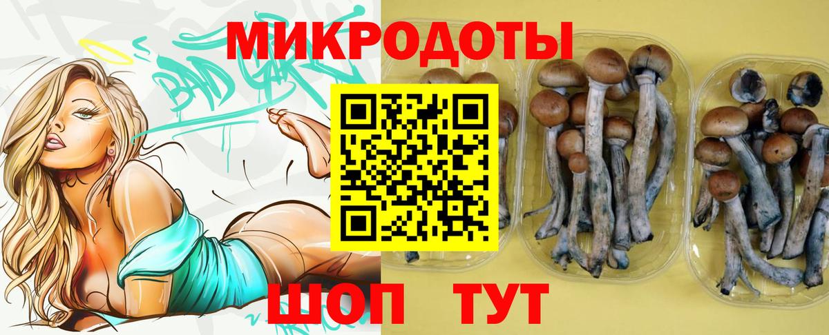 купить наркотики сайты  Вход с VPN  Курган  Галлюциногенные грибы прущие грибы 
